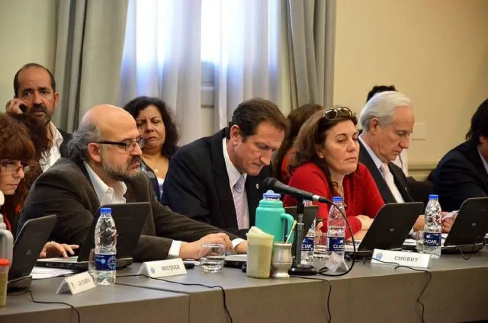 Mango participó en reunión del CFE