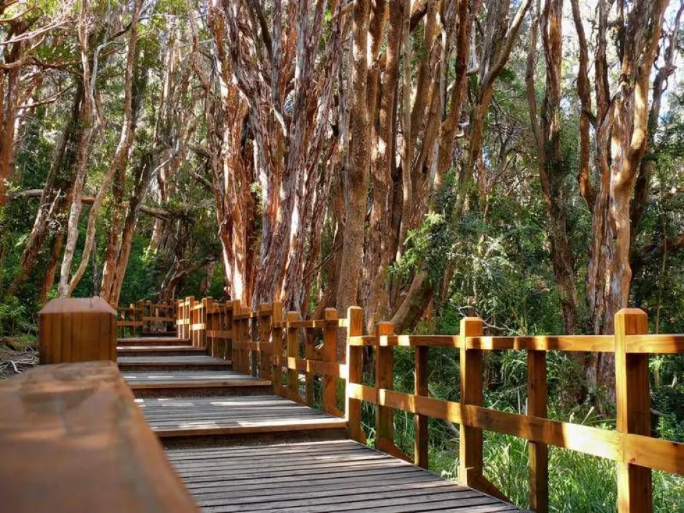 Día de la Creación del Parque Nacional Los Arrayanes