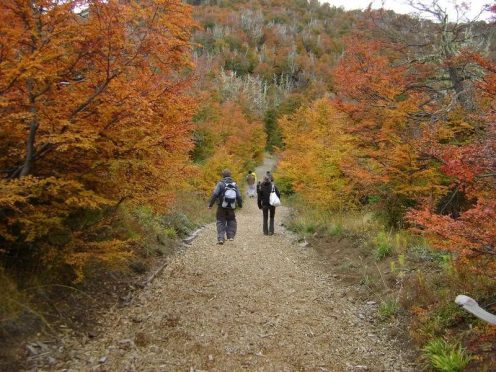 ¿Cómo estará el tiempo en la región día por día este finde XXL?