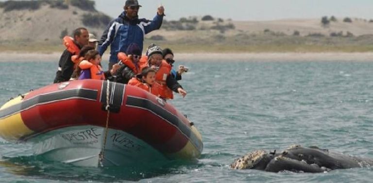 Las Grutas se prepara para la temporada de avistajes de fauna marina