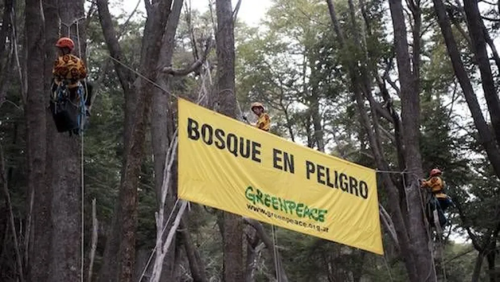Greenpeace alerta sobre posibles violaciones ambientales en Bariloche y El Bolsón