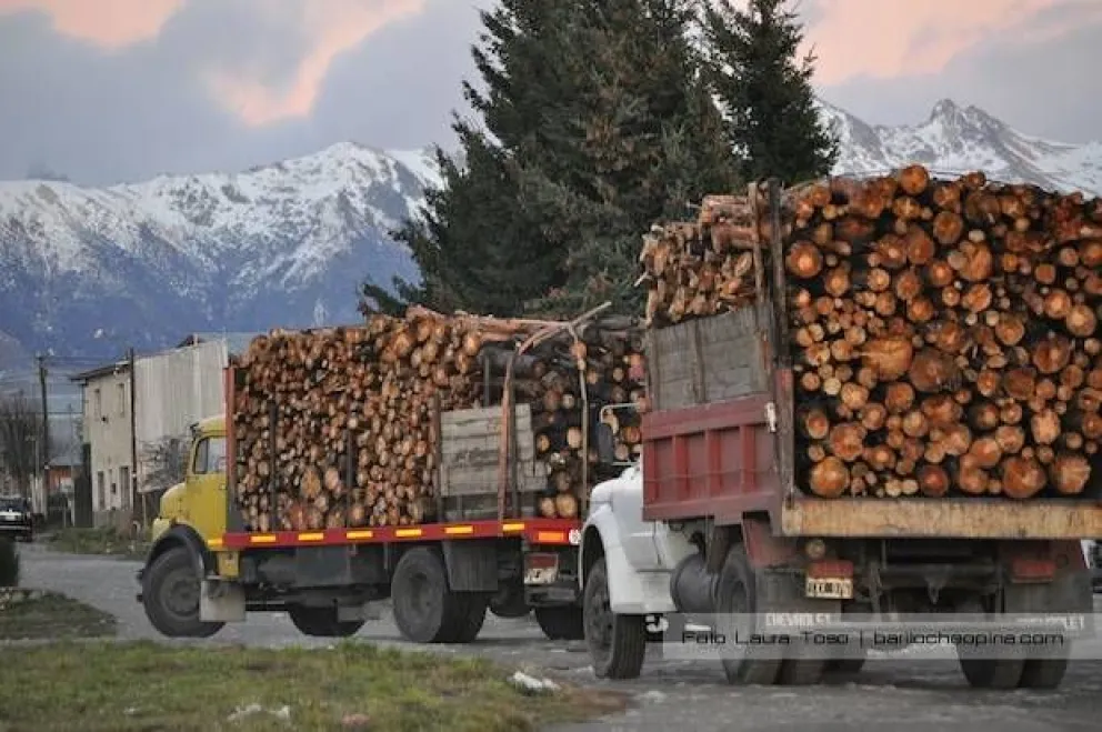 Cronograma del Plan Calor municipal para este viernes 27 de septiembre