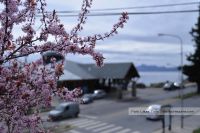 Cómo estará el tiempo el primer fin de semana de Primavera en Bariloche