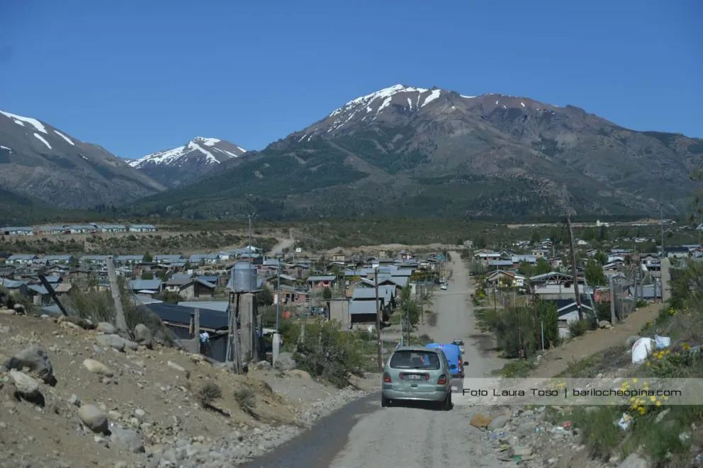 Mordeduras y adultos mayores descuidados