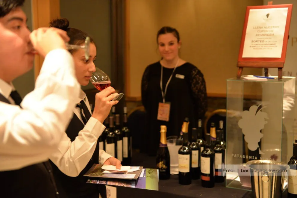 Más de 50 bodegas participaron de la exposición "Puro Vino BRC 2016"