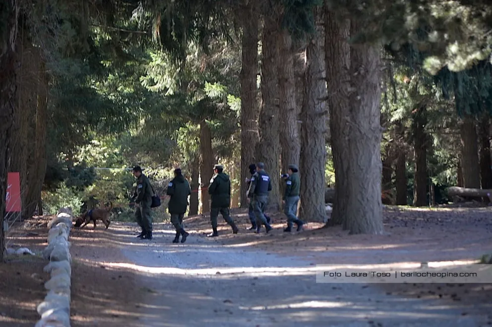 Caso Muñoz: Querella afirma que los perros "hallaron elementos" en un complejo