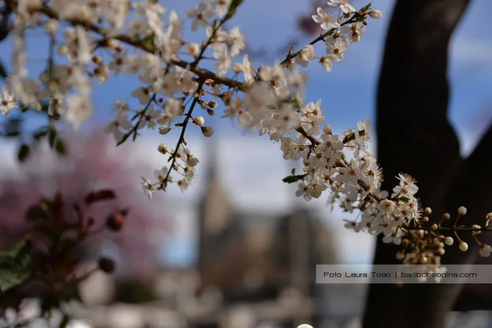 La semana arranca con temperaturas en aumento en Bariloche