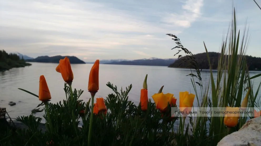 La semana comienza con temperaturas en ascenso en Bariloche