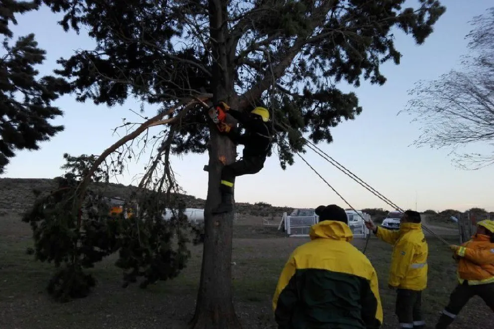 El SPLIF colaboró tras el temporal de viento en la Línea Sur