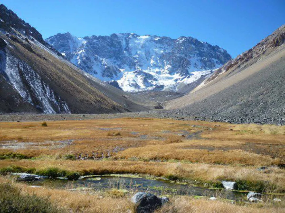Declararon inconstitucional la reforma de la Ley de Tierras