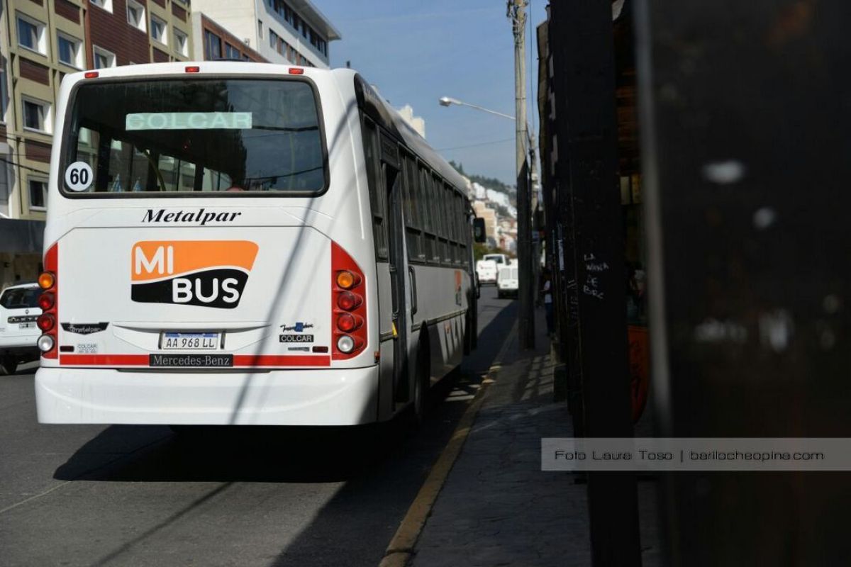Comenzó a circular un rondín de Mi Bus por el barrio Los Coihues: Mirá los horarios