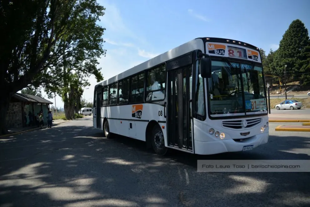 Los colectivos funcionan con los horarios de los días feriados