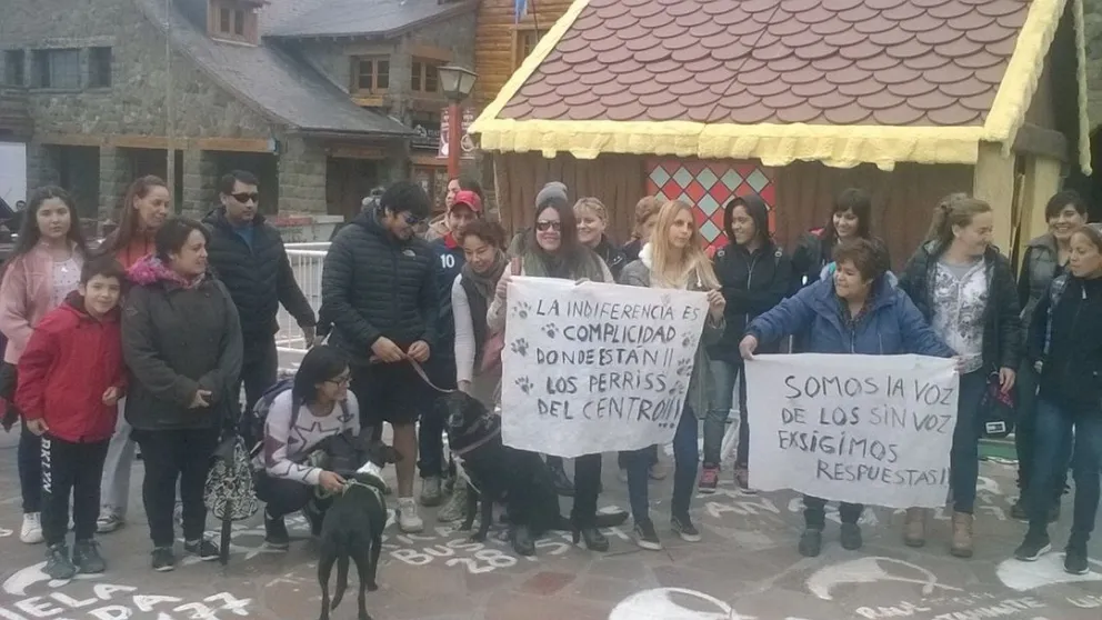 Polémica por el retiro de perros callejeros durante la Fiesta del Chocolate