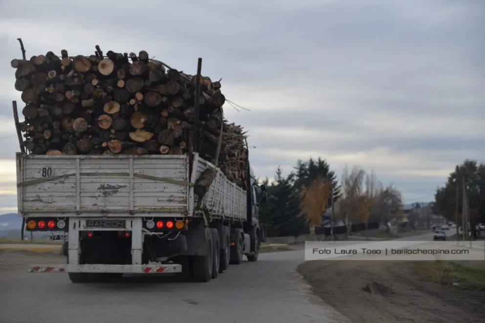 Comienza la entrega de leña del Plan Calor del Municipio