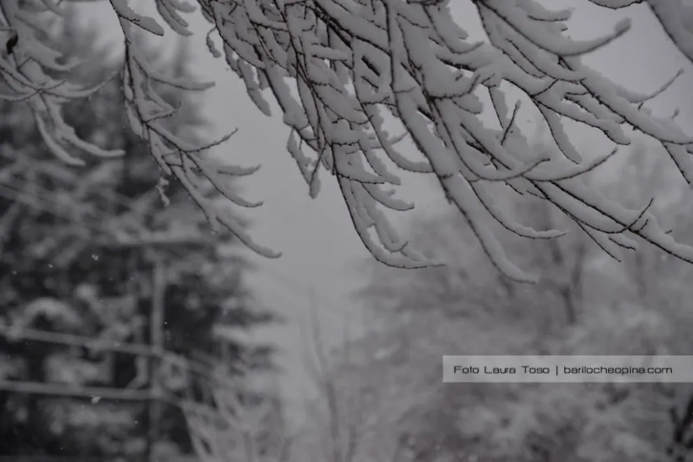 Alerta por nevadas: Cierre de los senderos de montaña y accesos al Parque Municipal Llao Llao