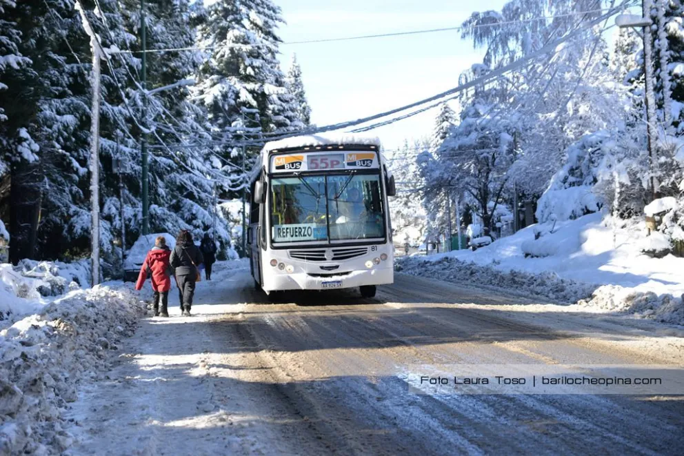 UTA adhiere al paro nacional y el próximo jueves no habrá colectivos