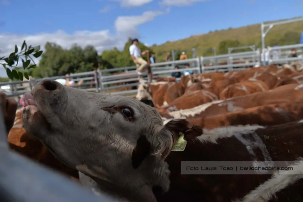 Desde Nación aclararon que no hay intención de levantar o modificar la barrera sanitaria