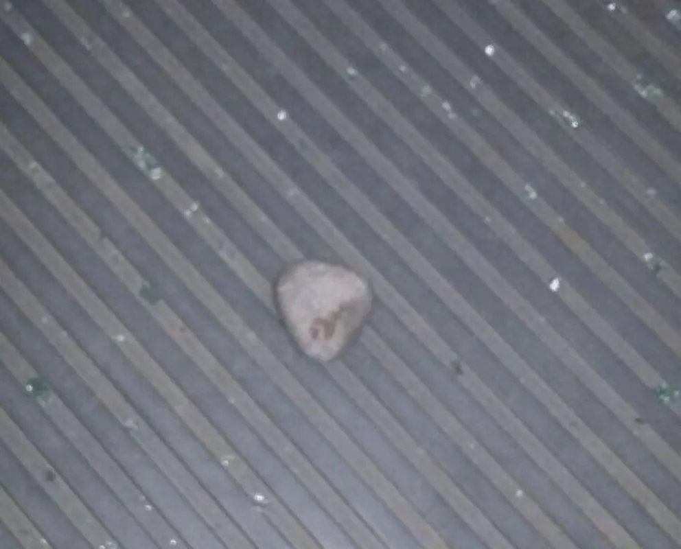 Apedraron un colectivo de la Línea 20 de Mi Bus en los kilómetros