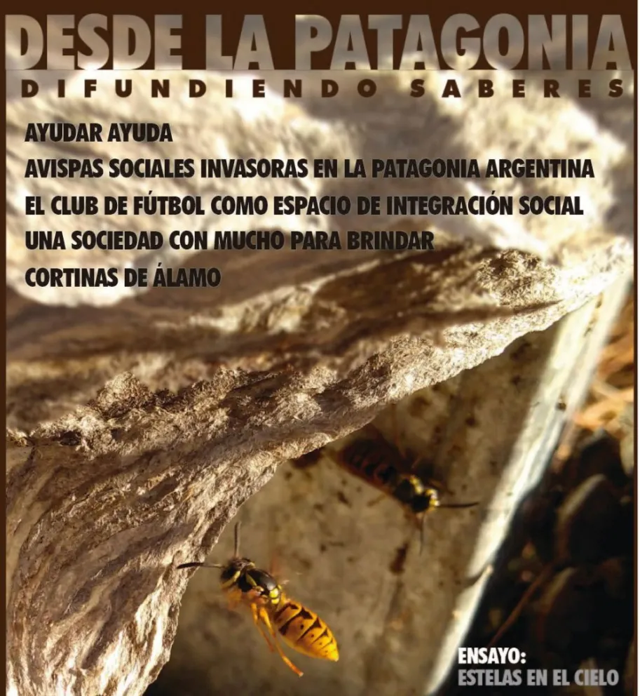 Desde la Patagonia, Difundiendo Saberes. 15 años divulgando ciencia