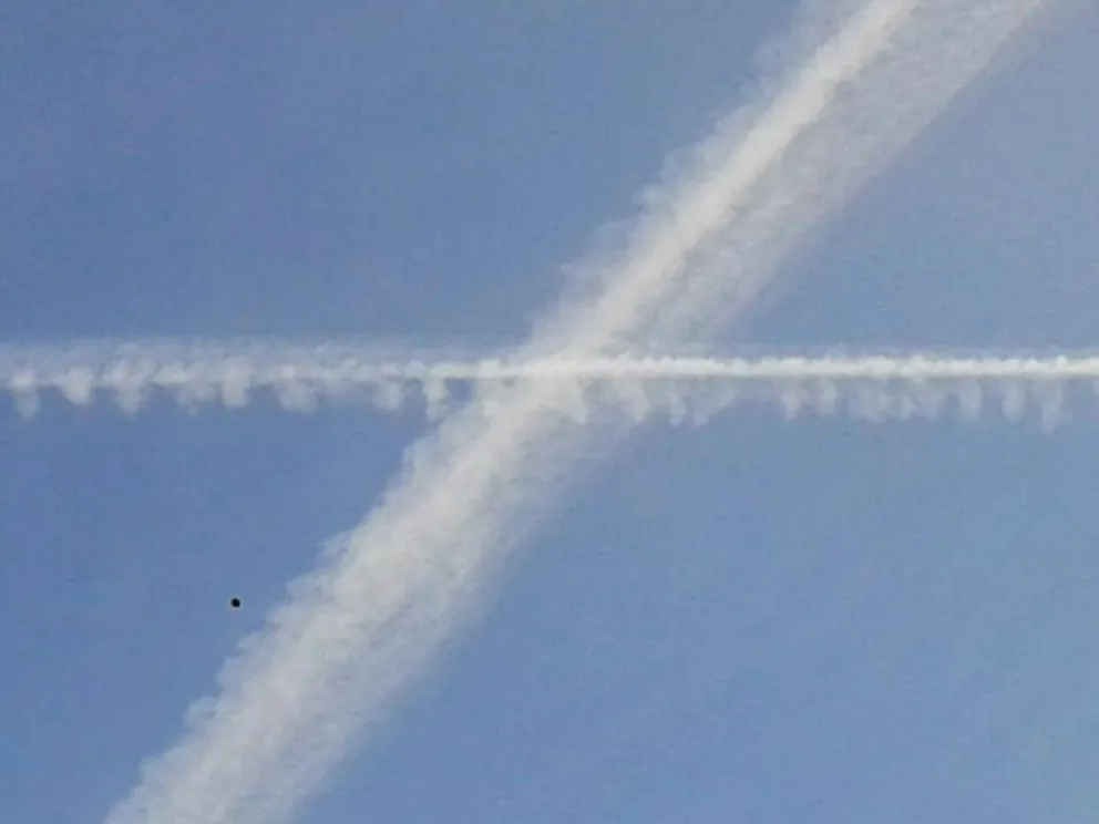 Un grito que se oye en todo el mundo: ¡No manipulen la Madre Tierra!