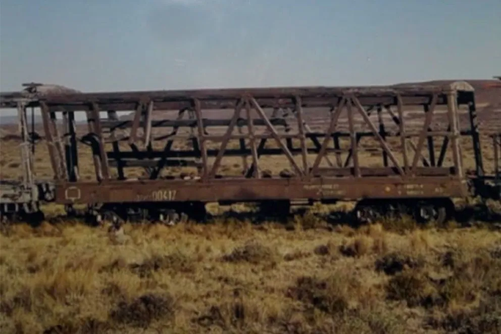 Acciones conjuntas para resaltar el valor histórico de La Trochita