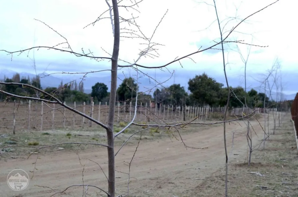 La Sociedad Rural Bariloche se prepara para su próxima exposición con importantes mejoras en su predio