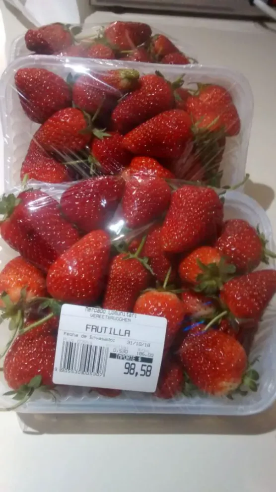 Vuelven las frutillas de Plottier al Mercado Comunitario